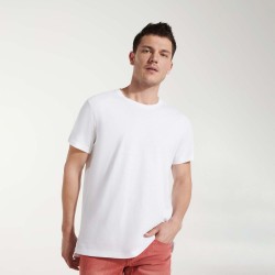 Camiseta TERRIER 0396 Roly