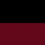 001112 - NEGRO/BURDEOS