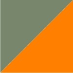Verde Caza / Naranja A.V