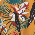 Tucan