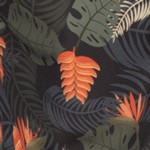 Paraiso
